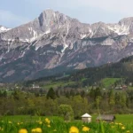 Яке свято 26 серпня 2026 та чому не слід ходити самому до лісу