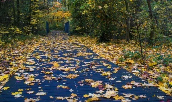 Яке свято 7 вересня 2026 та чому сьогодні не слід влаштовувати весілля