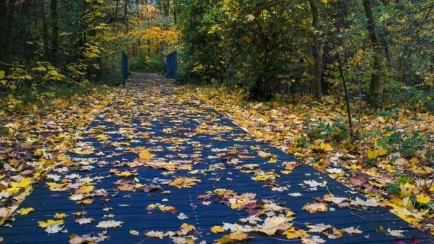 Яке свято 7 вересня 2026 та чому сьогодні не слід влаштовувати весілля